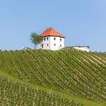 Rogla Lukanja 1 * Oplotnica