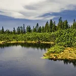 Rogla Lukanja 1 Oplotnica