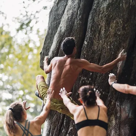 Rogla Lukanja 1 * Oplotnica