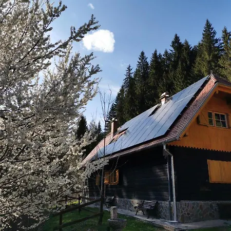 Pohorje House Rogla 1 A Private Riverside Estate Apartament