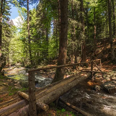 Pohorje House Rogla 1 A Private Riverside Estate *