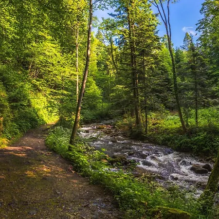 Rogla Lukanja 1 Oplotnica