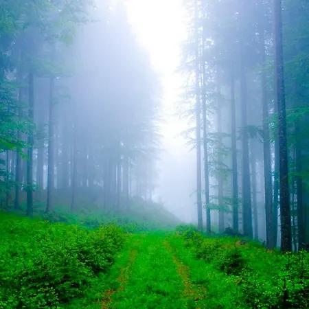 Rogla Lukanja 1 Appartement Oplotnica