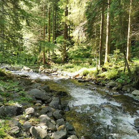 Rogla Lukanja 1 Appartement Oplotnica