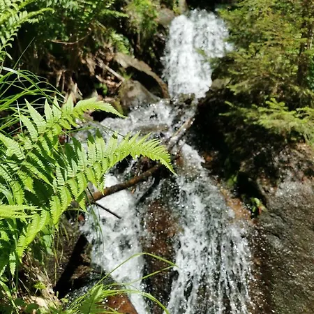 Rogla Lukanja 1 Oplotnica