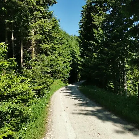 アパート Rogla Lukanja 1