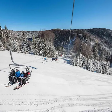 Rogla Lukanja 1 Oplotnica