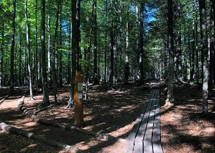 شقة Rogla Lukanja 1 *