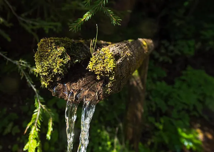 Rogla Lukanja 1 Oplotnica