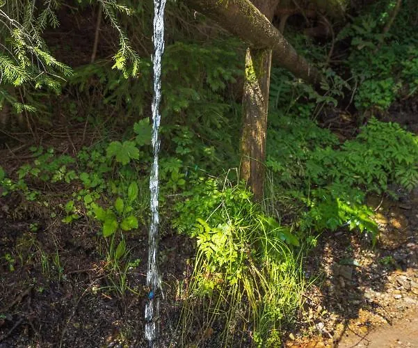 Rogla Lukanja 1 Appartement Oplotnica