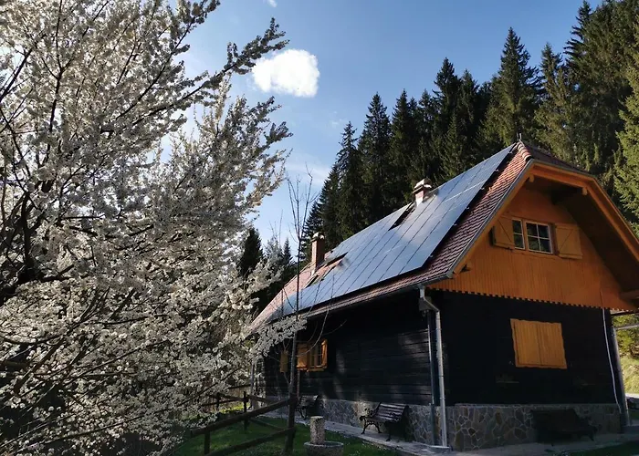 Rogla Lukanja 1 شقة