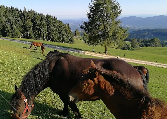 شقة Rogla Lukanja 1