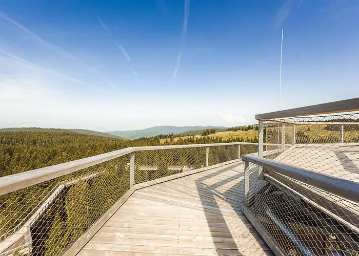 Rogla Lukanja 1 Oplotnica