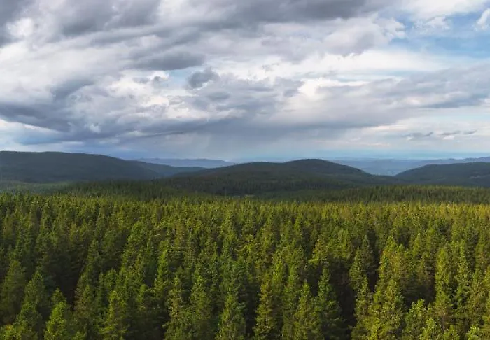 Rogla Lukanja 1 شقة Oplotnica