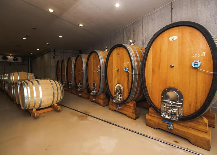 Rogla Lukanja 1 Oplotnica