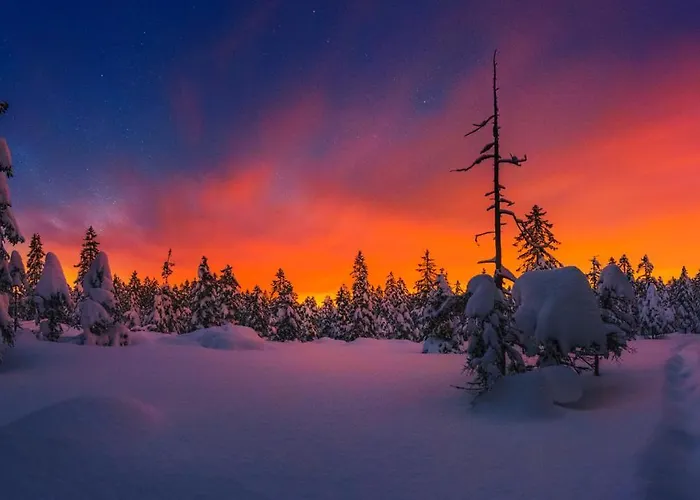 Appartement Rogla Lukanja 1 *