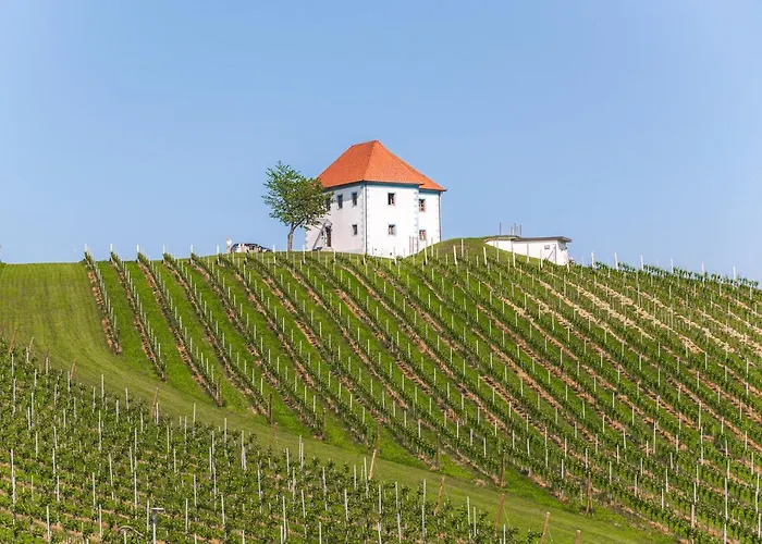 Rogla Lukanja 1 * Oplotnica