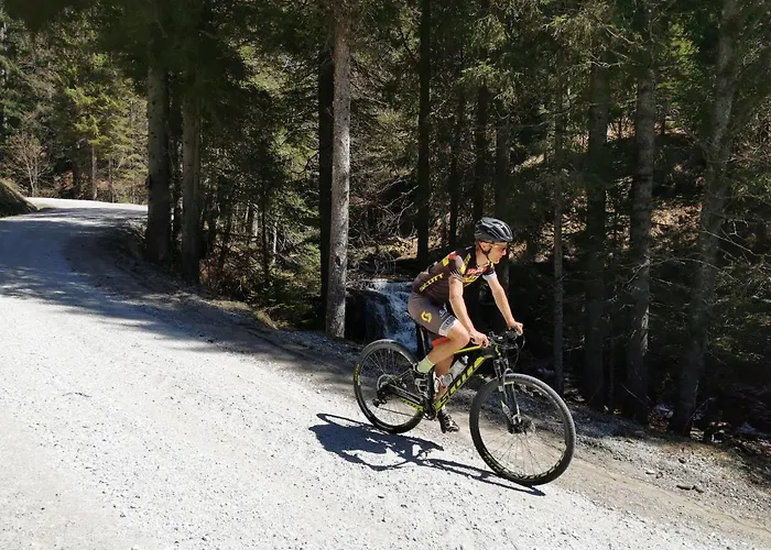 Rogla Lukanja 1 * Oplotnica