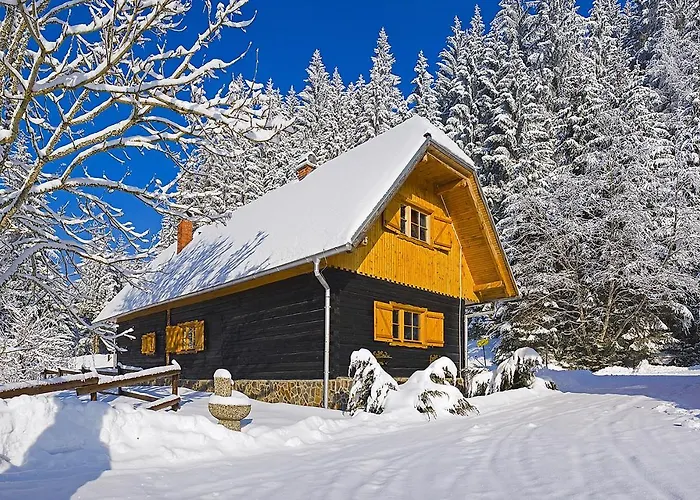 Rogla Lukanja 1 * Oplotnica