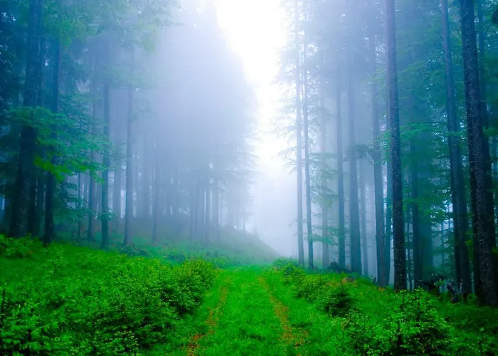 Rogla Lukanja 1 Appartement Oplotnica