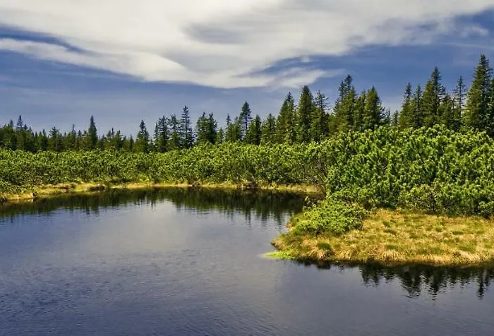 Rogla Lukanja 1 Oplotnica