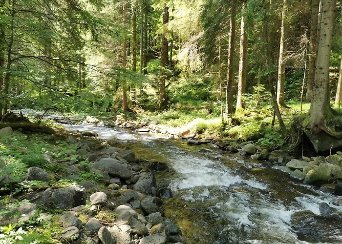 Rogla Lukanja 1 شقة Oplotnica