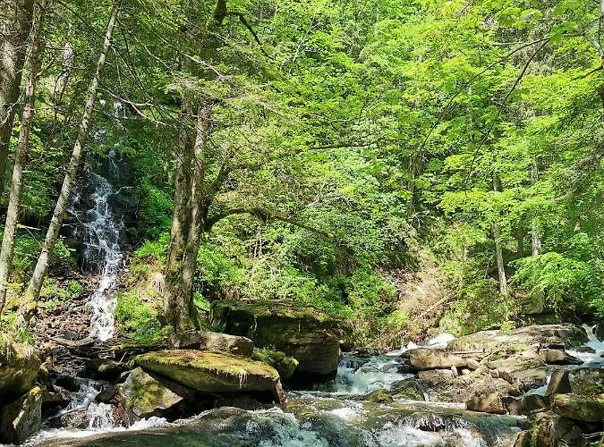 Rogla Lukanja 1 شقة Oplotnica