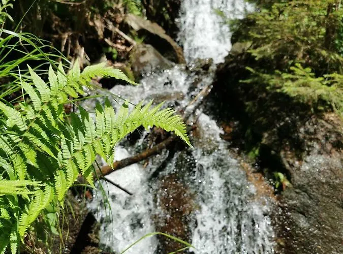 Rogla Lukanja 1 Oplotnica