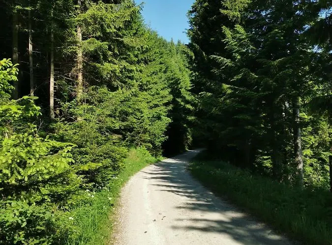 شقة Rogla Lukanja 1