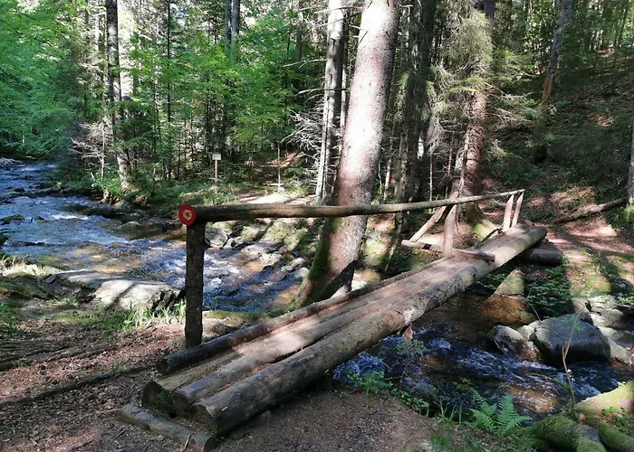 شقة Rogla Lukanja 1 *